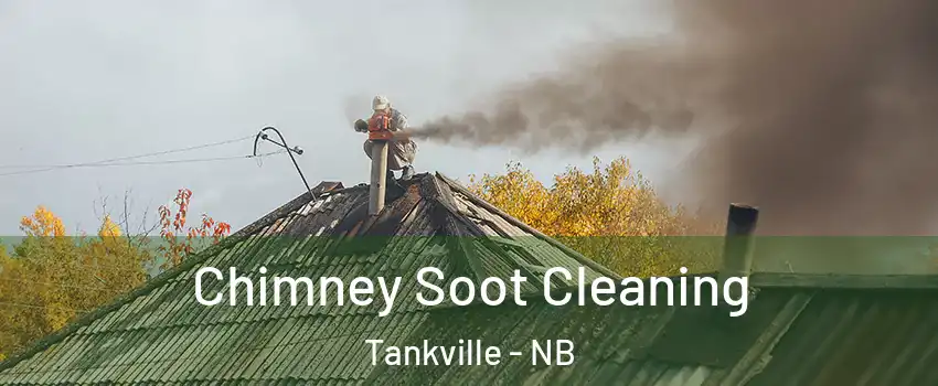  Chimney Soot Cleaning Tankville - NB