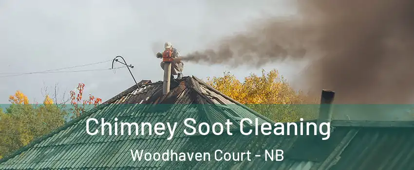  Chimney Soot Cleaning Woodhaven Court - NB