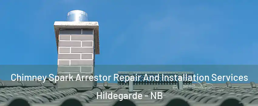  Chimney Spark Arrestor Repair And Installation Services Hildegarde - NB