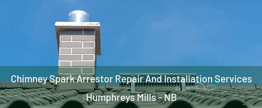  Chimney Spark Arrestor Repair And Installation Services Humphreys Mills - NB
