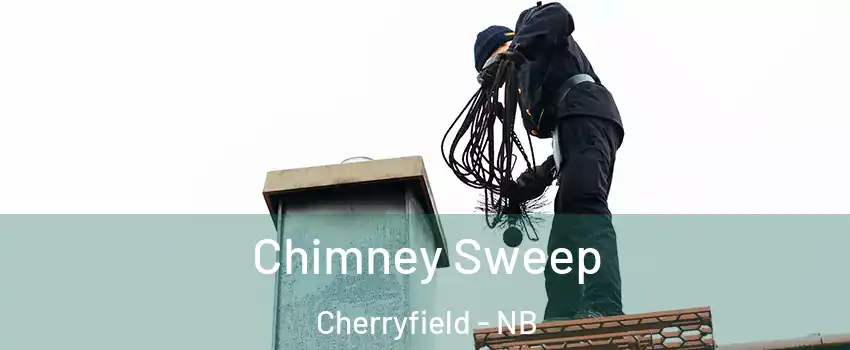Chimney Sweep Cherryfield - NB