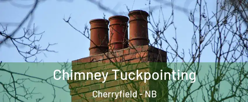  Chimney Tuckpointing Cherryfield - NB