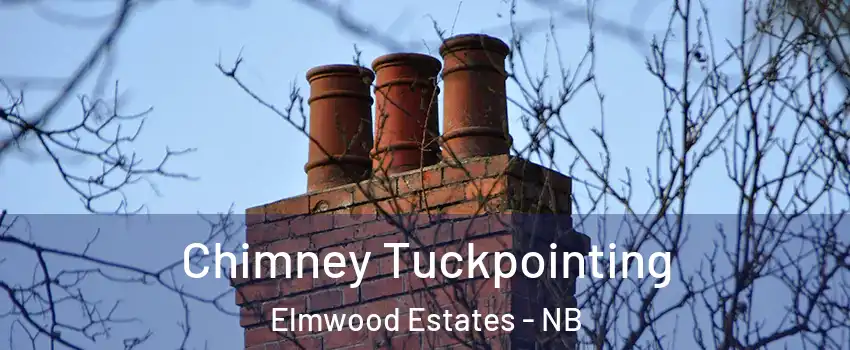 Chimney Tuckpointing Elmwood Estates - NB