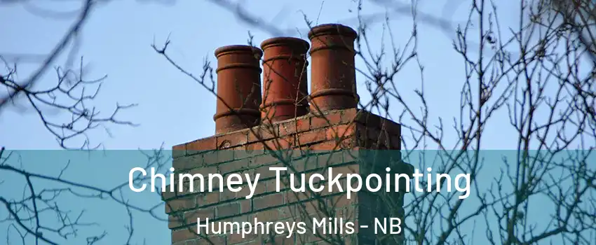  Chimney Tuckpointing Humphreys Mills - NB
