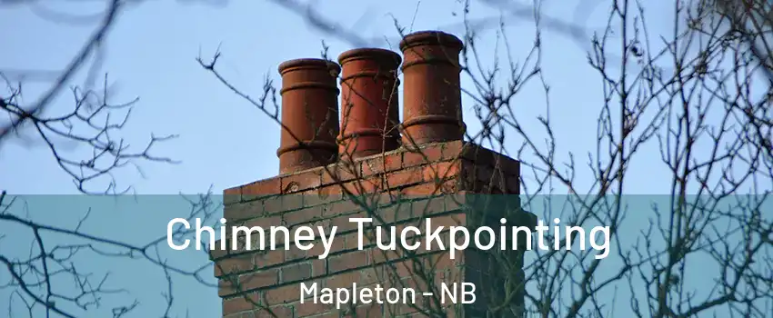  Chimney Tuckpointing Mapleton - NB