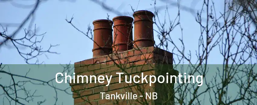 Chimney Tuckpointing Tankville - NB