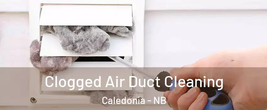  Clogged Air Duct Cleaning Caledonia - NB