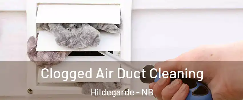  Clogged Air Duct Cleaning Hildegarde - NB
