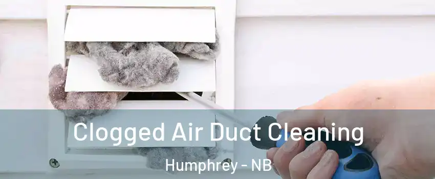  Clogged Air Duct Cleaning Humphrey - NB