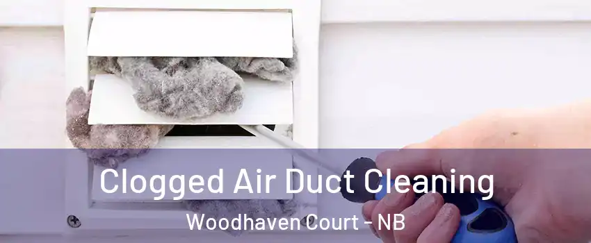  Clogged Air Duct Cleaning Woodhaven Court - NB