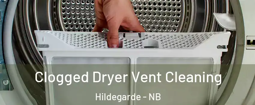  Clogged Dryer Vent Cleaning Hildegarde - NB