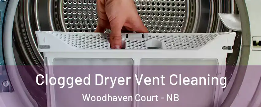  Clogged Dryer Vent Cleaning Woodhaven Court - NB