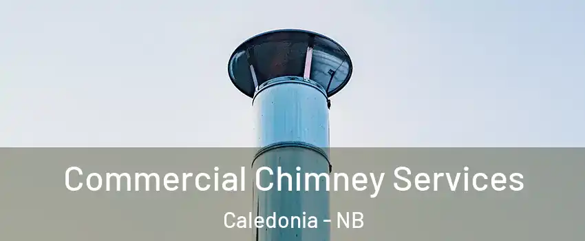  Commercial Chimney Services Caledonia - NB
