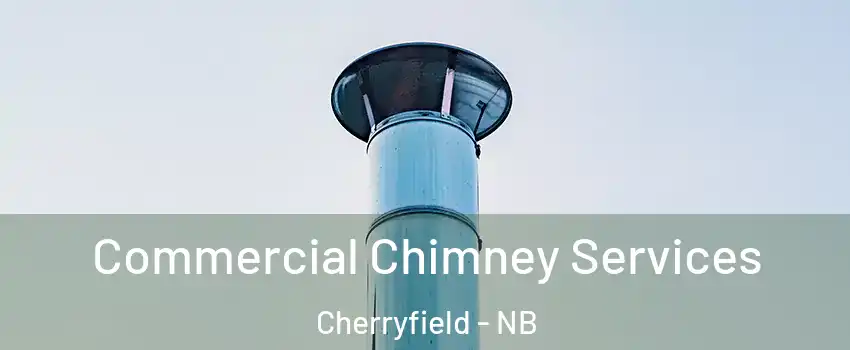  Commercial Chimney Services Cherryfield - NB