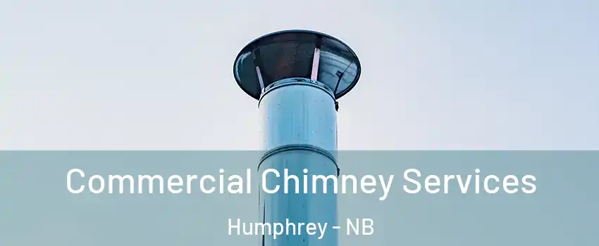  Commercial Chimney Services Humphrey - NB