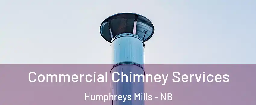  Commercial Chimney Services Humphreys Mills - NB