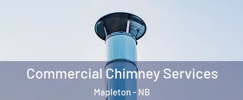  Commercial Chimney Services Mapleton - NB