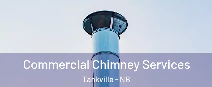  Commercial Chimney Services Tankville - NB