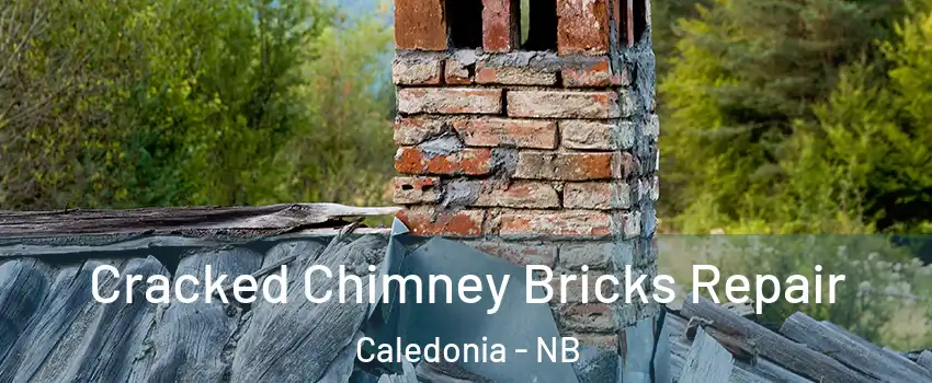 Cracked Chimney Bricks Repair Caledonia - NB