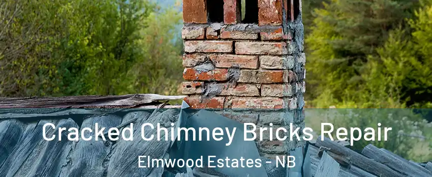  Cracked Chimney Bricks Repair Elmwood Estates - NB