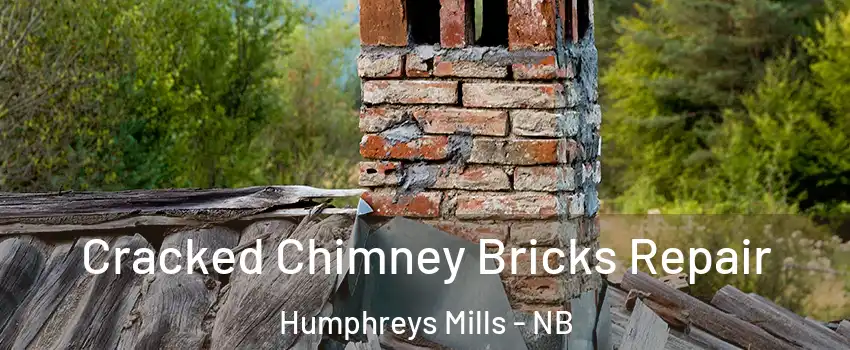  Cracked Chimney Bricks Repair Humphreys Mills - NB