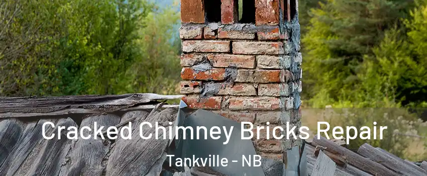  Cracked Chimney Bricks Repair Tankville - NB