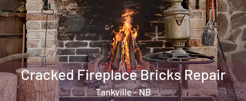  Cracked Fireplace Bricks Repair Tankville - NB