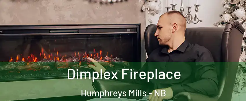  Dimplex Fireplace Humphreys Mills - NB