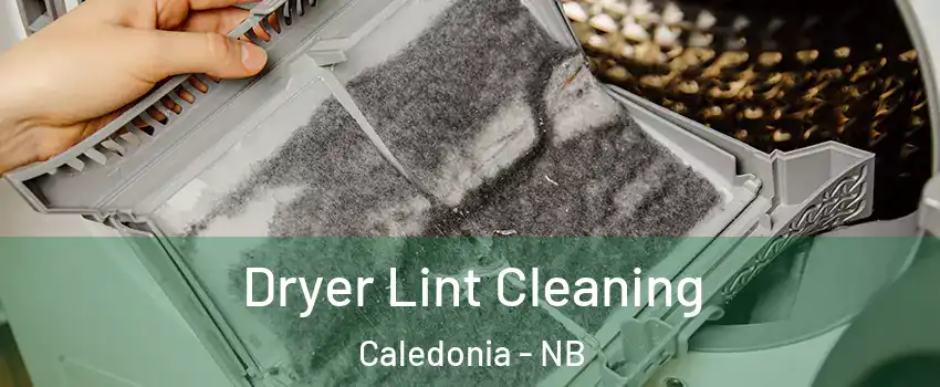  Dryer Lint Cleaning Caledonia - NB