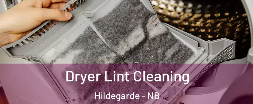  Dryer Lint Cleaning Hildegarde - NB