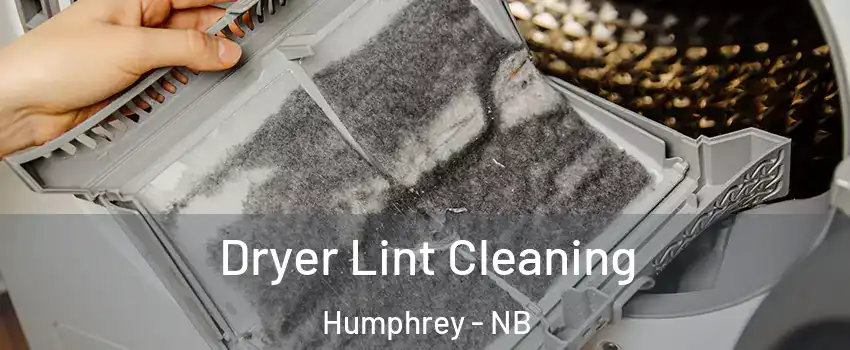  Dryer Lint Cleaning Humphrey - NB