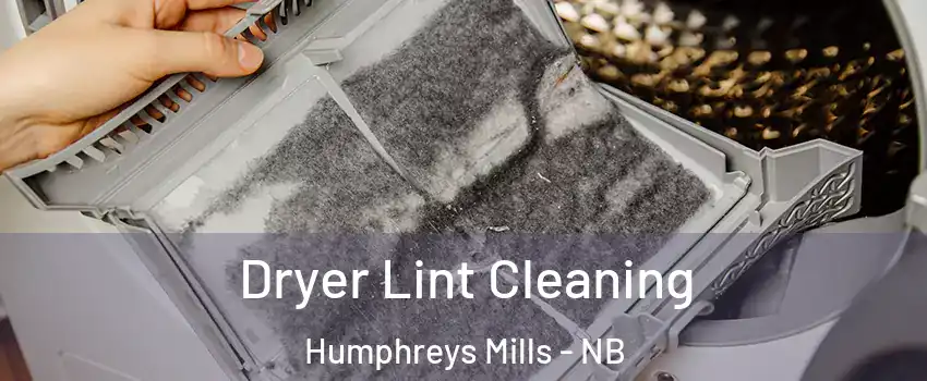  Dryer Lint Cleaning Humphreys Mills - NB