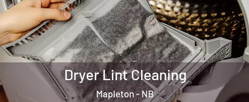  Dryer Lint Cleaning Mapleton - NB