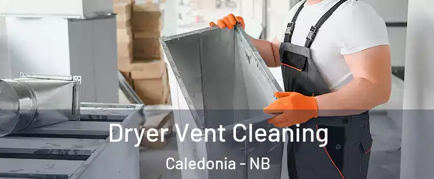  Dryer Vent Cleaning Caledonia - NB