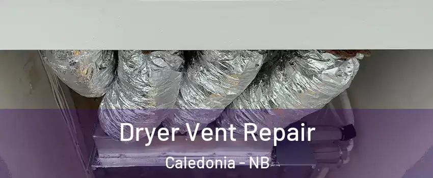  Dryer Vent Repair Caledonia - NB
