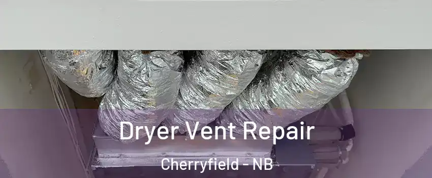  Dryer Vent Repair Cherryfield - NB