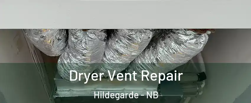  Dryer Vent Repair Hildegarde - NB