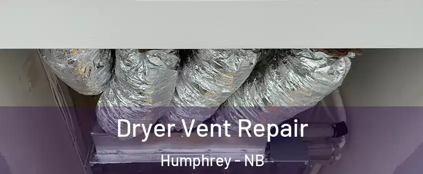  Dryer Vent Repair Humphrey - NB