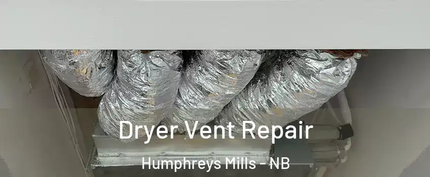  Dryer Vent Repair Humphreys Mills - NB