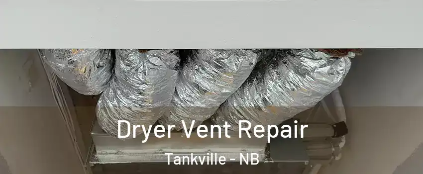  Dryer Vent Repair Tankville - NB