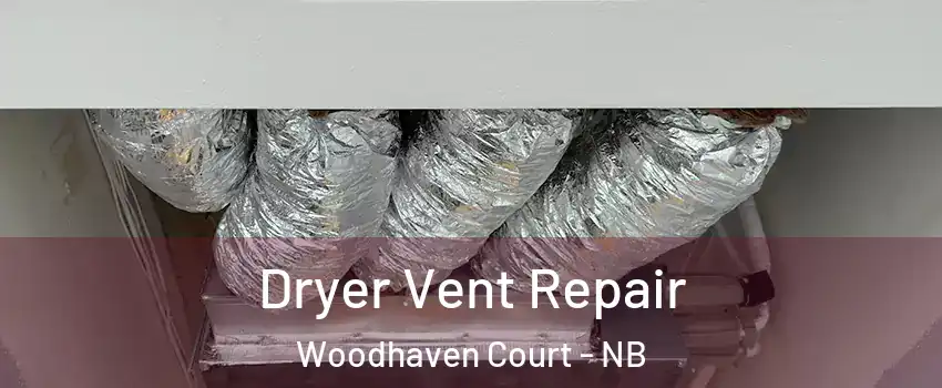  Dryer Vent Repair Woodhaven Court - NB