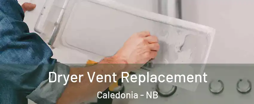  Dryer Vent Replacement Caledonia - NB
