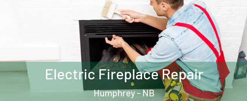  Electric Fireplace Repair Humphrey - NB