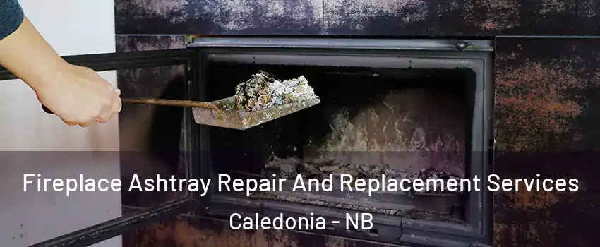  Fireplace Ashtray Repair And Replacement Services Caledonia - NB