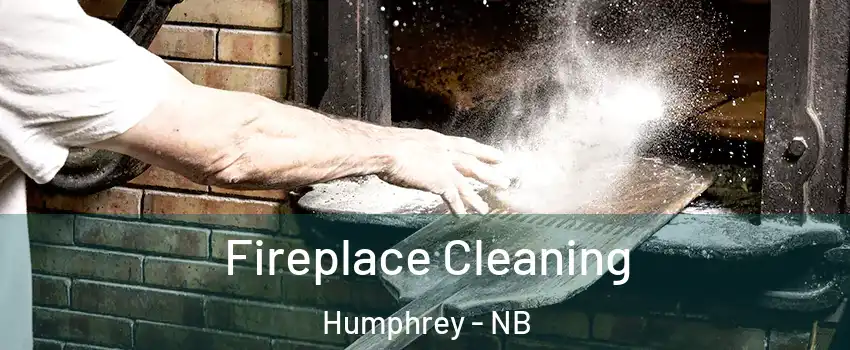  Fireplace Cleaning Humphrey - NB