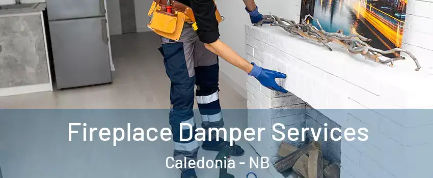  Fireplace Damper Services Caledonia - NB