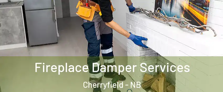 Fireplace Damper Services Cherryfield - NB