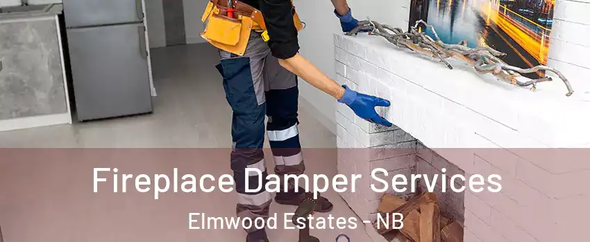 Fireplace Damper Services Elmwood Estates - NB