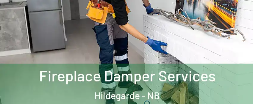 Fireplace Damper Services Hildegarde - NB