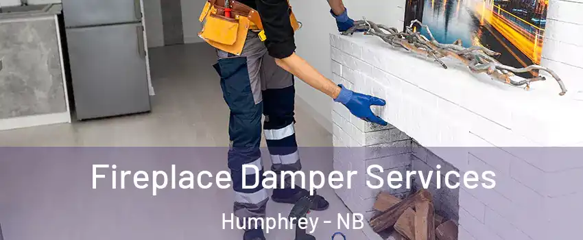  Fireplace Damper Services Humphrey - NB